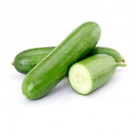 Fresh Cucumber - Kilo