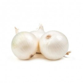 White Onion Fresh - Kilo