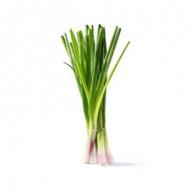Green Onion Fresh - Pcs