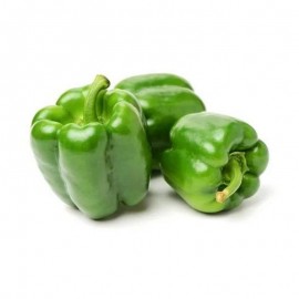 Green Pepper fresh - Kilo