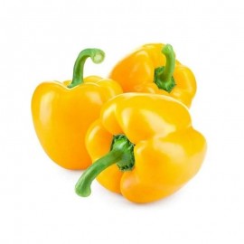 Yellow Pepper fresh - Kilo