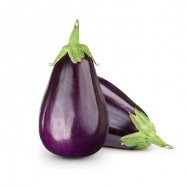 Fresh Eggplant - Kilo